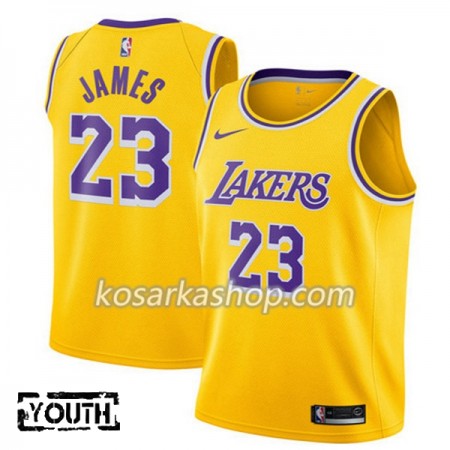 Dres Los Angeles Lakers Lebron James 23 Nike 2018-19 Siva Swingman - Dječji